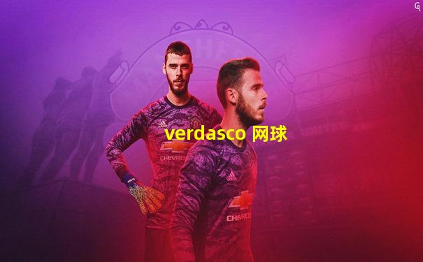 verdasco 网球